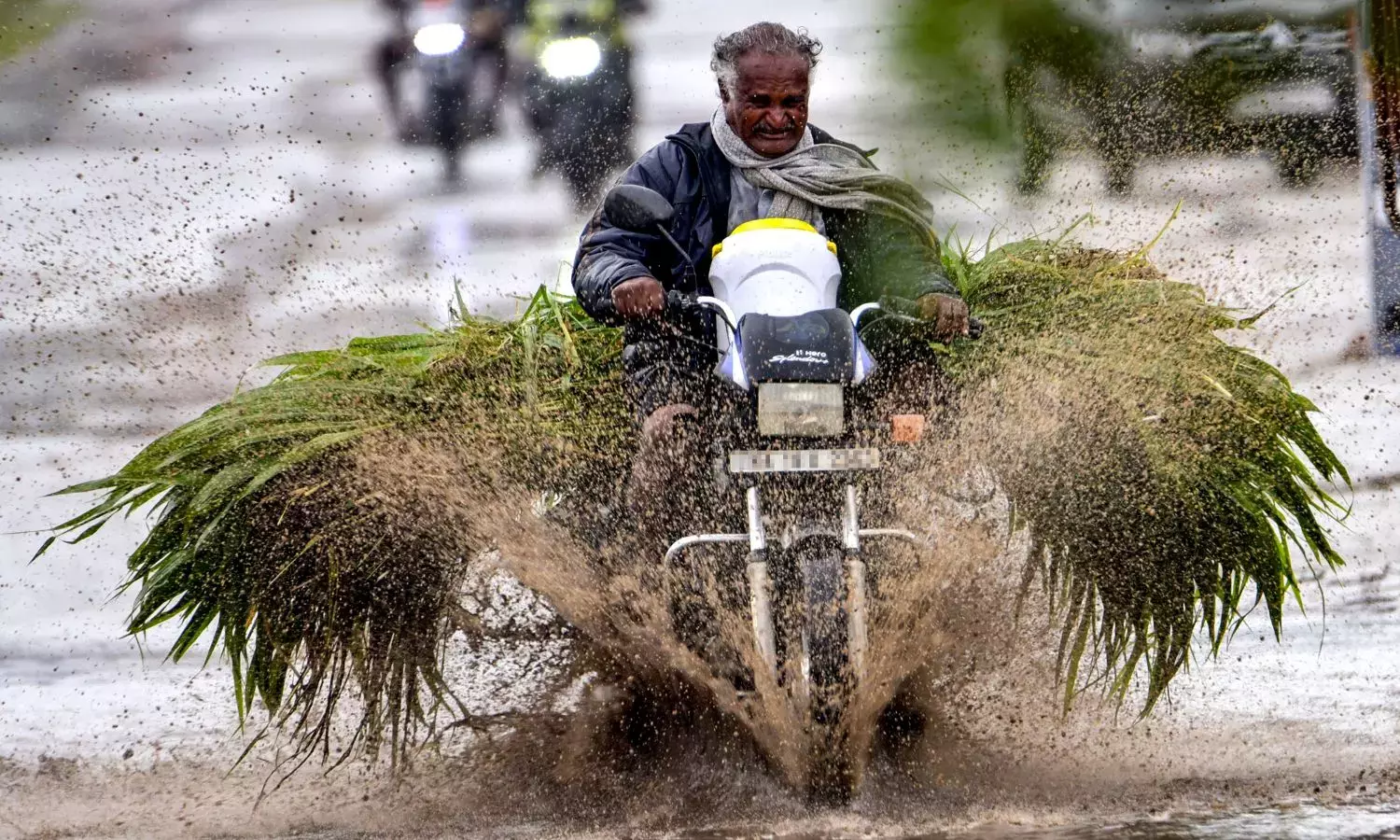 Karnataka: तटीय कर्नाटक में भारी बारिश; हकलाडी का रिकॉर्ड 189 मिमी है Karnataka: तटीय कर्नाटक में भारी बारिश; हकलाडी का रिकॉर्ड 189 मिमी है