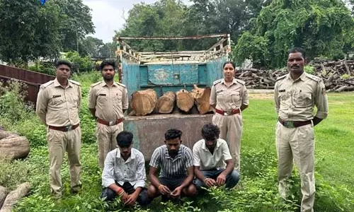 वन विभाग की बड़ी कार्रवाई, सागौन लट्ठों से लदा पिकअप जब्त वन विभाग की बड़ी कार्रवाई, सागौन लट्ठों से लदा पिकअप जब्त