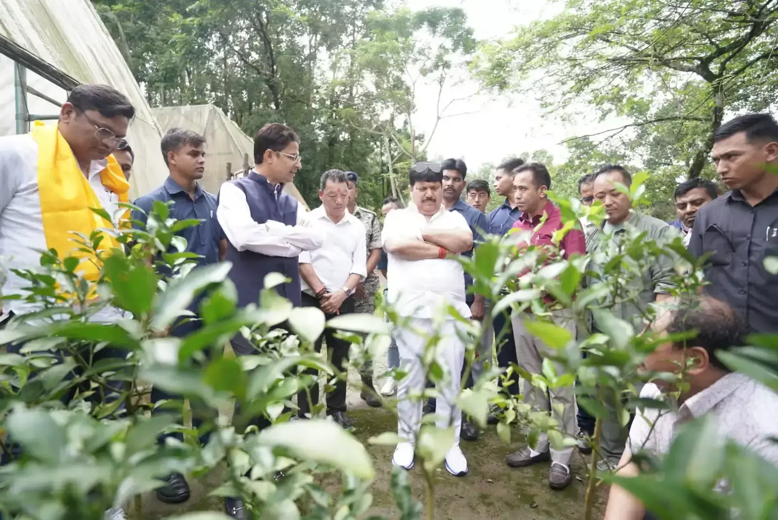 Darjeeling: दार्जिलिंग में विविधीकरण योजना की समीक्षा, मंत्री ने किया निरीक्षण Darjeeling: दार्जिलिंग में विविधीकरण योजना की समीक्षा, मंत्री ने किया निरीक्षण