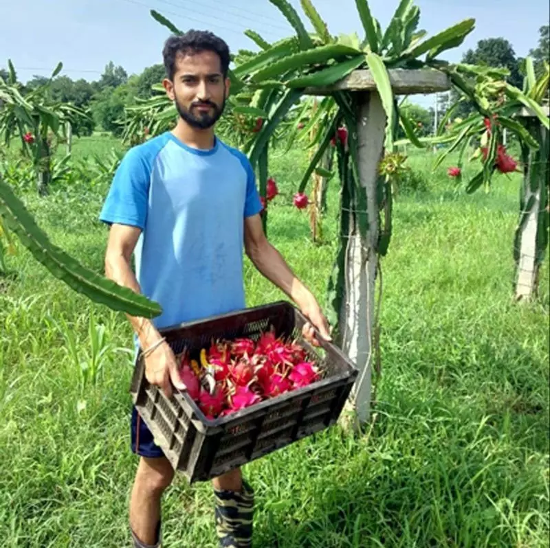 रिटायरमेंट के बाद जीवन राणा ने बदली खेती की तस्वीर रिटायरमेंट के बाद जीवन राणा ने बदली खेती की तस्वीर