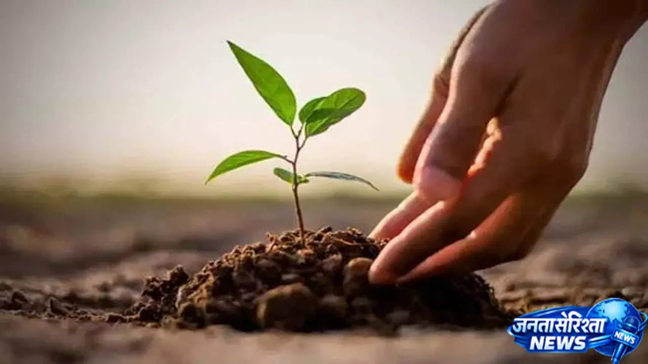 इंदौर फिर बनाएगा रिकॉर्ड, 1 लाख पौधों से शुरू होगा अभियान इंदौर फिर बनाएगा रिकॉर्ड, 1 लाख पौधों से शुरू होगा अभियान