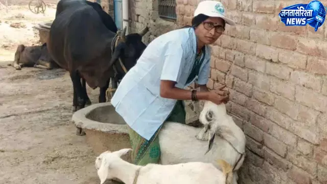 प्राकृतिक आपदाओं में पशुधन की मौत पर मिलेगा मुआवजा प्राकृतिक आपदाओं में पशुधन की मौत पर मिलेगा मुआवजा