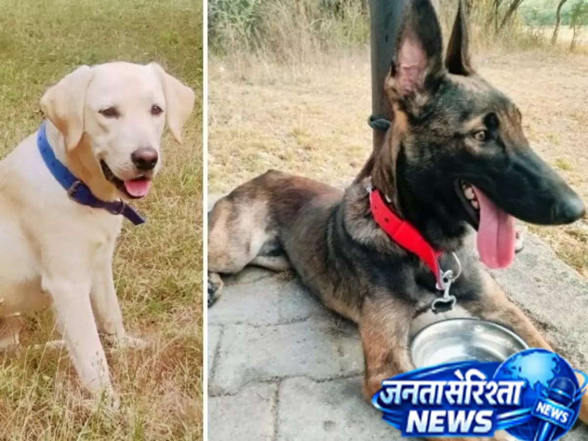 आतंकियों का पीछा करने वाली नस्ल का डॉग अब बरेली पुलिस में