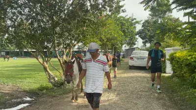 Manipur Pony Crisis: चोरी और घटती संख्या से मणिपुरी टट्टू के अस्तित्व पर खतरा Manipur Pony Crisis: चोरी और घटती संख्या से मणिपुरी टट्टू के अस्तित्व पर खतरा