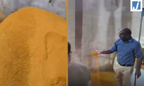नकली हल्दी...चावल में रंग मिलाकर तैयार कर रहे थे, संदिग्ध स्टॉक जब्त
