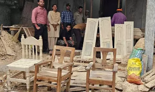 सरपंच के घर वन विभाग की रेड, सागौन लकड़ी की तस्करी का खुलासा सरपंच के घर वन विभाग की रेड, सागौन लकड़ी की तस्करी का खुलासा
