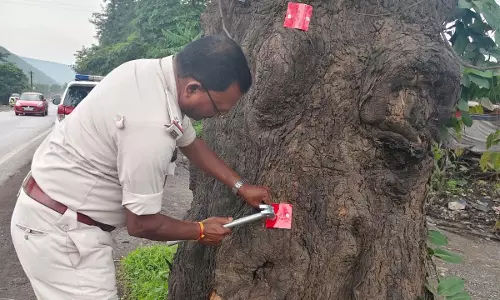 रात में दुर्घटनाओं की आशंका होगी कम, ट्रैफिक पुलिस का अभिनव अभियान