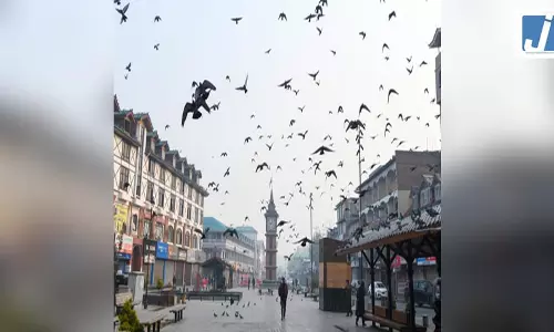 5 अगस्त: वह ऐतिहासिक तारीख जब कश्मीर को मिला नया सवेरा और अयोध्या में गूंजे राम नाम के जयकारे 5 अगस्त: वह ऐतिहासिक तारीख जब कश्मीर को मिला नया सवेरा और अयोध्या में गूंजे राम नाम के जयकारे