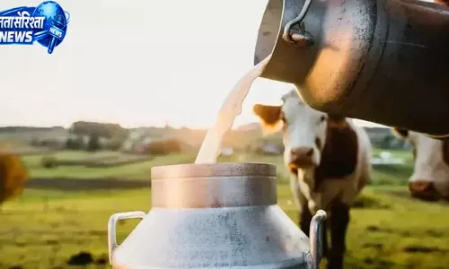 सांझी डेयरी से गांवों में बढ़ेगा रोजगार, महिलाओं को मिलेगा सहारा सांझी डेयरी से गांवों में बढ़ेगा रोजगार, महिलाओं को मिलेगा सहारा