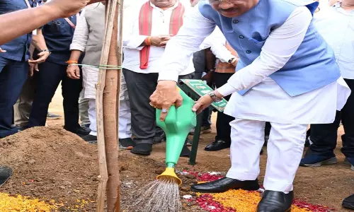 मुख्यमंत्री विष्णुदेव साय ने अपनी माँ के नाम पर लगाया पीपल का पौधा