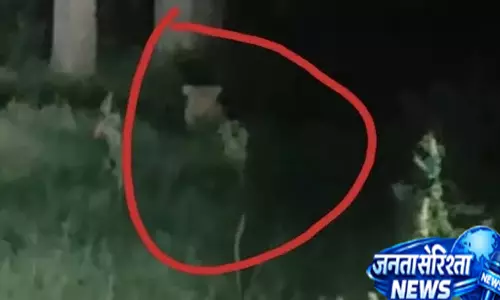 मुरादाबाद में फिर तेंदुए की दस्तक, ग्रामीणों की सूझबूझ से बची मजदूर की जान मुरादाबाद में फिर तेंदुए की दस्तक, ग्रामीणों की सूझबूझ से बची मजदूर की जान