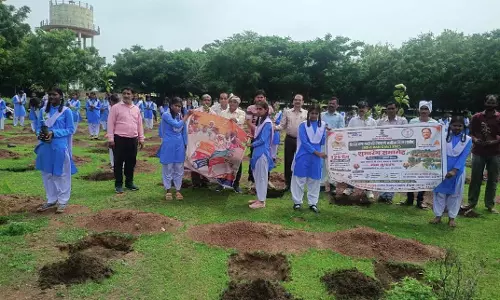 टेकारी में शाला परिवार के साथ जनप्रतिनिधियों ने किया खेल मैदान में वृक्षारोपण टेकारी में शाला परिवार के साथ जनप्रतिनिधियों ने किया खेल मैदान में वृक्षारोपण