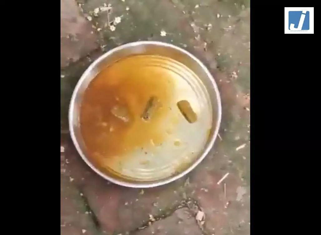सरकारी स्कूल से मिड-डे मील व्यवस्था की बेहद चिंताजनक तस्वीर...एक्शन में DM सरकारी स्कूल से मिड-डे मील व्यवस्था की बेहद चिंताजनक तस्वीर...एक्शन में DM
