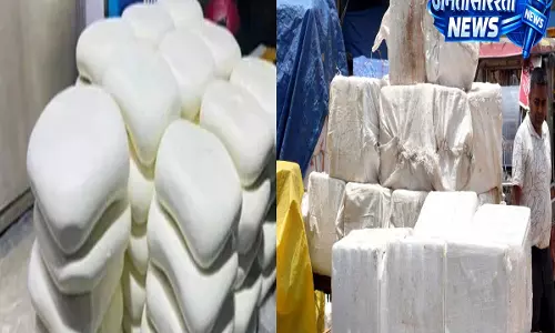 रायपुर में नकली या मिलावटी पनीर की आशंका, 500 किलो माल जब्त, MP से आए पनीर की जांच शुरू रायपुर में नकली या मिलावटी पनीर की आशंका, 500 किलो माल जब्त, MP से आए पनीर की जांच शुरू