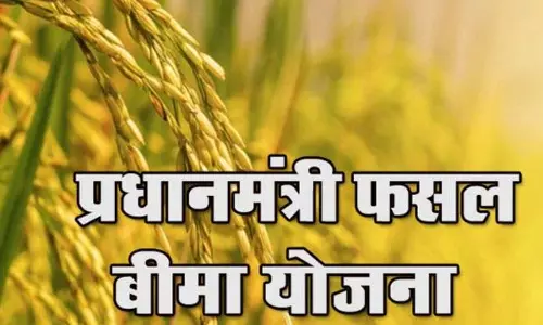 किसानों की खबर, फसल बीमा कराने की अंतिम तिथि 14 अगस्त तक बढ़ी किसानों की खबर, फसल बीमा कराने की अंतिम तिथि 14 अगस्त तक बढ़ी