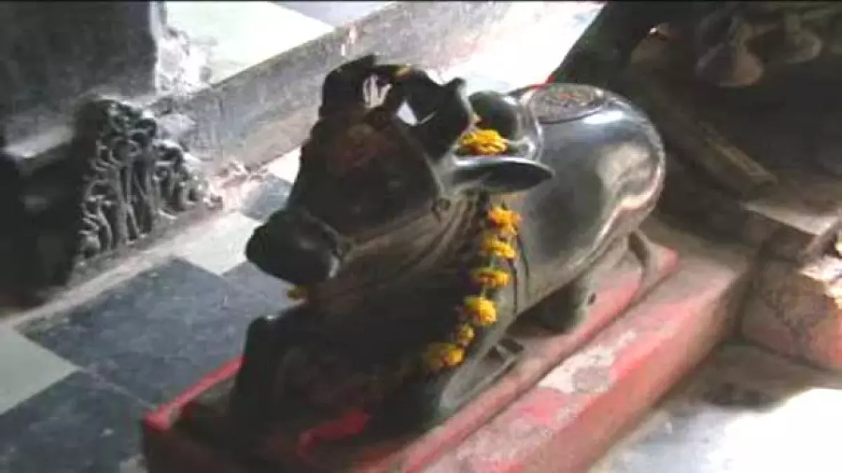 शिव मंदिर में नंदी के कान में इच्छा बताने की परंपरा क्यों है? जानिए धार्मिक महत्व
