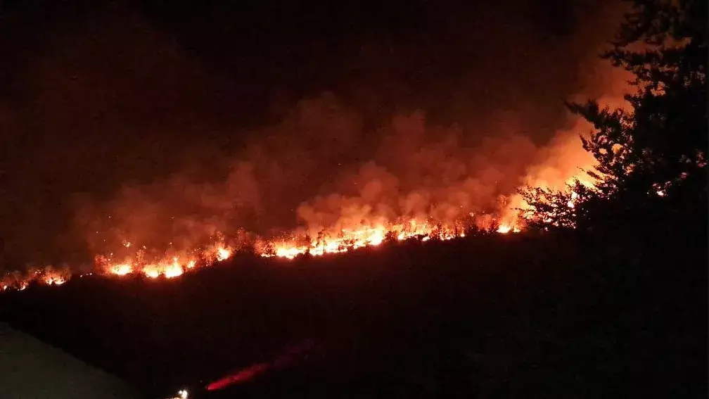 सर्बिया में भीषण गर्मी और सूखे के बीच जंगलों में लगी आग सर्बिया में भीषण गर्मी और सूखे के बीच जंगलों में लगी आग