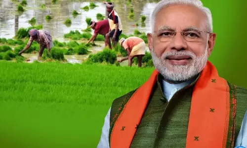 खरीफ सीजन से पहले सरकार का मास्टरस्ट्रोक, यूरिया और डीएपी का भरपूर स्टॉक तैयार खरीफ सीजन से पहले सरकार का मास्टरस्ट्रोक, यूरिया और डीएपी का भरपूर स्टॉक तैयार