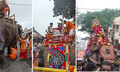 महाकाल के ‘श्यामू’ ने पूरे किए सेवा के 10 साल महाकाल के ‘श्यामू’ ने पूरे किए सेवा के 10 साल