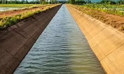 मांजरा जलाशय में सिर्फ 16% पानी, 28 गांवों पर पेयजल संकट मांजरा जलाशय में सिर्फ 16% पानी, 28 गांवों पर पेयजल संकट