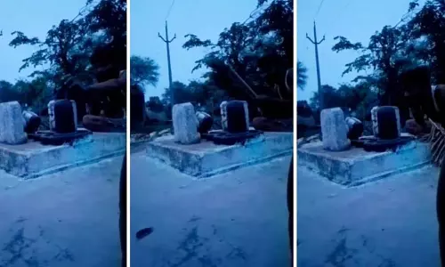 शिवपुरी में मंदिर वीडियो पर विवाद, शिवलिंग के अपमान के आरोप में FIR दर्ज