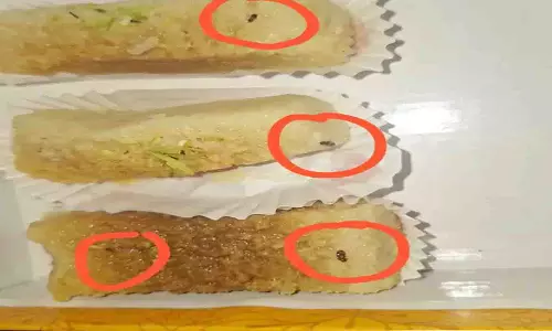 नेताजी होटल की मिठाई में मिले मरे हुए कीड़े और कॉकरोच, ग्राहक ने की शिकायत नेताजी होटल की मिठाई में मिले मरे हुए कीड़े और कॉकरोच, ग्राहक ने की शिकायत