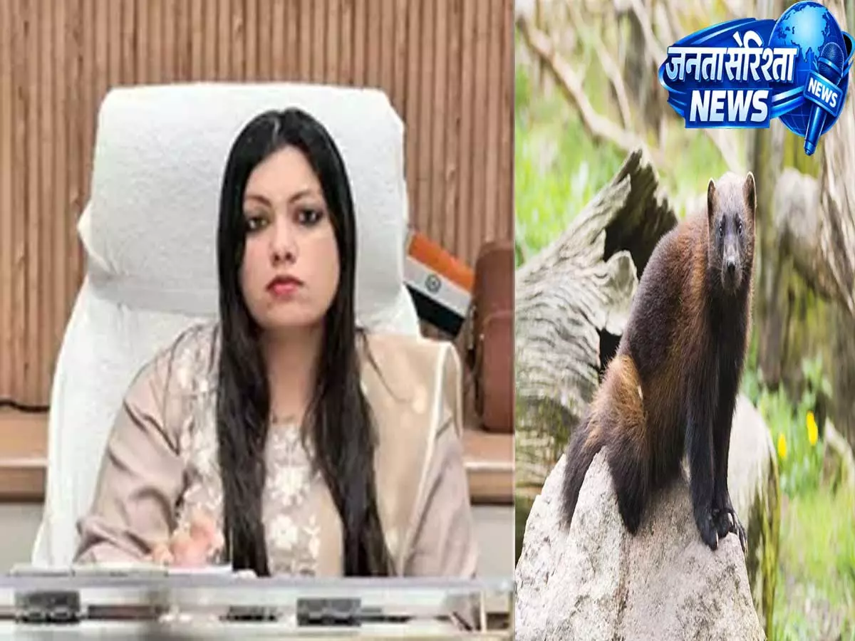 सिरिंज खरीद विवाद में घिरे कर्मचारी पर मेहरबानी? निलंबन के बाद नई तैनाती से मचा हड़कंप सिरिंज खरीद विवाद में घिरे कर्मचारी पर मेहरबानी? निलंबन के बाद नई तैनाती से मचा हड़कंप