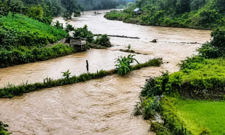 मणिपुर में तबाही: बाढ़-भूस्खलन से 3 जिलों में फसलें बर्बाद मणिपुर में तबाही: बाढ़-भूस्खलन से 3 जिलों में फसलें बर्बाद