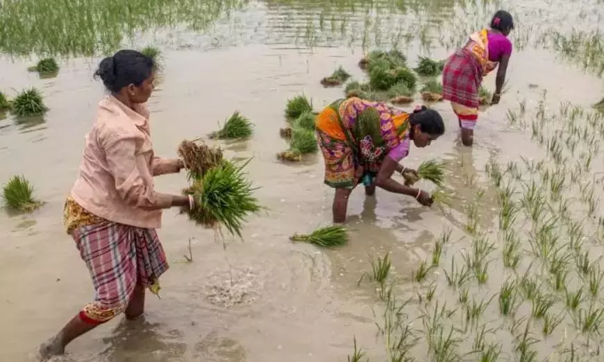 Karnataka: कर्नाटक ने एआई-संचालित डिजिटल फसल सर्वेक्षण पहल शुरू की Karnataka: कर्नाटक ने एआई-संचालित डिजिटल फसल सर्वेक्षण पहल शुरू की
