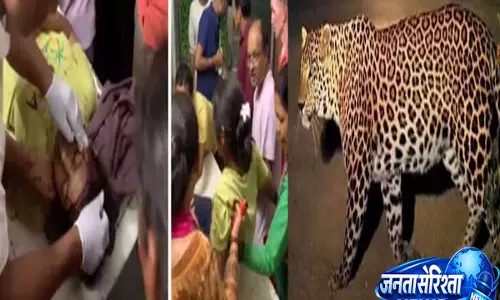 अल्मोड़ा तेंदुए का हमला: दराती लेकर गुलदार से भिड़ी, गंभीर घायल; वन विभाग सतर्क अल्मोड़ा तेंदुए का हमला: दराती लेकर गुलदार से भिड़ी, गंभीर घायल; वन विभाग सतर्क