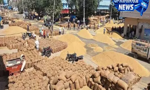 हरियाणा राइस मिलर्स: मिलर्स को मिलेगा बोनस, अतिरिक्त चावल खरीद पर केंद्र से बातचीत हरियाणा राइस मिलर्स: मिलर्स को मिलेगा बोनस, अतिरिक्त चावल खरीद पर केंद्र से बातचीत
