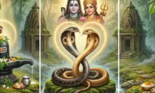 सावन में नाग-नागिन का नृत्य शुभ या सिर्फ मान्यता? जानें शास्त्र और विज्ञान की सच्चाई सावन में नाग-नागिन का नृत्य शुभ या सिर्फ मान्यता? जानें शास्त्र और विज्ञान की सच्चाई