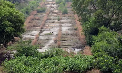 SYL पर केंद्र से हस्तक्षेप की मांग SYL पर केंद्र से हस्तक्षेप की मांग