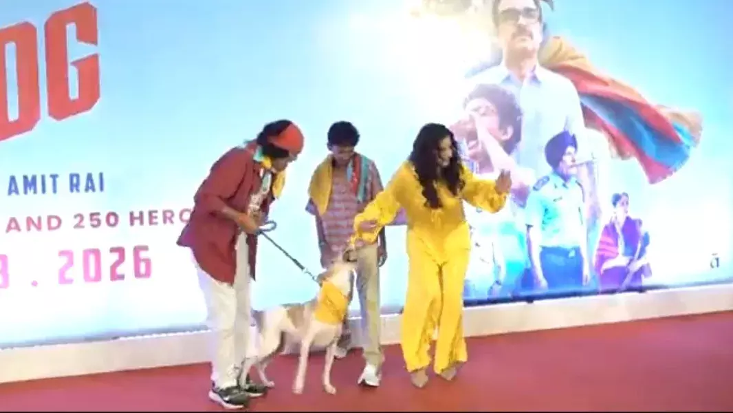 रवीना टंडन के साथ रेड कार्पेट पर घटी घटना, बाल-बाल बची एक्ट्रेस रवीना टंडन के साथ रेड कार्पेट पर घटी घटना, बाल-बाल बची एक्ट्रेस