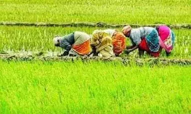 Tamil Nadu: तमिलनाडु कृषि बजट की किसान संगठनों ने की आलोचना Tamil Nadu: तमिलनाडु कृषि बजट की किसान संगठनों ने की आलोचना