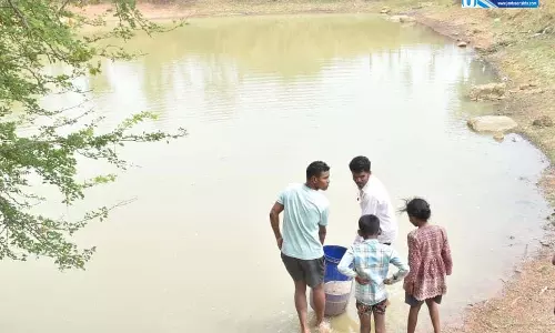 जल संरक्षण से बदला जीवन, धमतरी के भोथापारा में आजीविका डबरी बनी आर्थिक स्वावलंबन का नया आधार जल संरक्षण से बदला जीवन, धमतरी के भोथापारा में आजीविका डबरी बनी आर्थिक स्वावलंबन का नया आधार