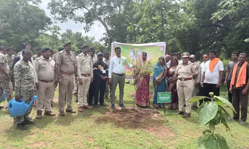वन महोत्सव में एक पेड़ माँ के नाम अभियान को मिला जनसमर्थन वन महोत्सव में एक पेड़ माँ के नाम अभियान को मिला जनसमर्थन