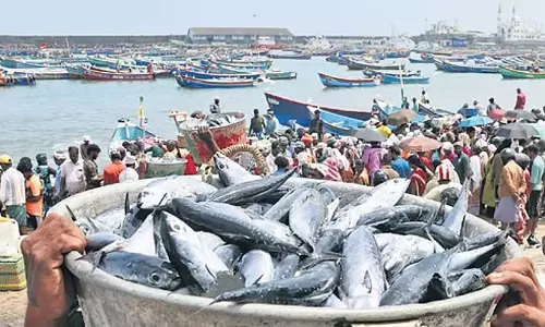 कर्नाटक का सीफूड एक्सपोर्ट 56% बढ़ा, ₹5,371 करोड़ पार कर्नाटक का सीफूड एक्सपोर्ट 56% बढ़ा, ₹5,371 करोड़ पार