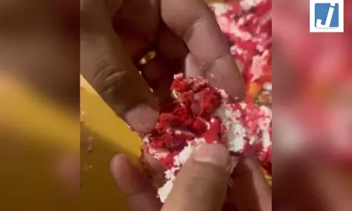 बर्थडे केक बना आफत: जश्न के बीच अचानक बिगड़ी कई लोगों की तबीयत, मिले फफूंद और कीड़े! बर्थडे केक बना आफत: जश्न के बीच अचानक बिगड़ी कई लोगों की तबीयत, मिले फफूंद और कीड़े!