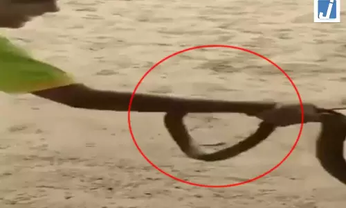9 साल के छात्र के हाथ में दिखा सांप, पिता ने बताई वायरल दावे की सच्चाई 9 साल के छात्र के हाथ में दिखा सांप, पिता ने बताई वायरल दावे की सच्चाई