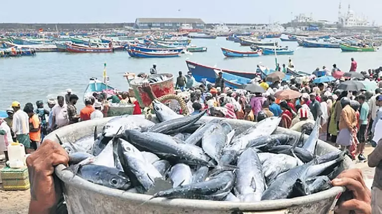कर्नाटक का सीफूड एक्सपोर्ट 56% बढ़ा, ₹5,371 करोड़ पार कर्नाटक का सीफूड एक्सपोर्ट 56% बढ़ा, ₹5,371 करोड़ पार