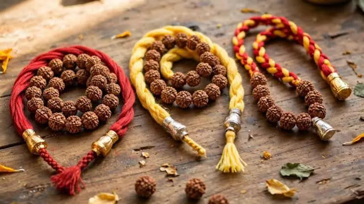 सावन 2026 रुद्राक्ष माला के नियम: मंत्र जाप करते समय भूलकर भी न करें ये गलतियां सावन 2026 रुद्राक्ष माला के नियम: मंत्र जाप करते समय भूलकर भी न करें ये गलतियां