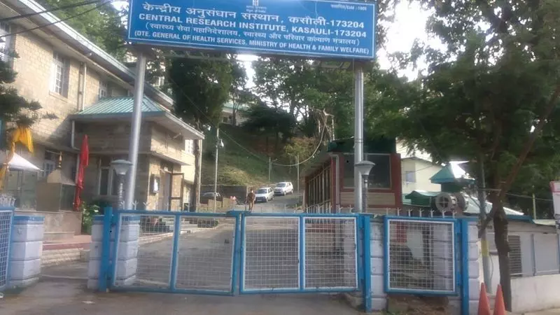 CAT का निर्देश: कसौली रिसर्च इंस्टीट्यूट कर्मियों को मिले पेशेंट केयर अलाउंस CAT का निर्देश: कसौली रिसर्च इंस्टीट्यूट कर्मियों को मिले पेशेंट केयर अलाउंस