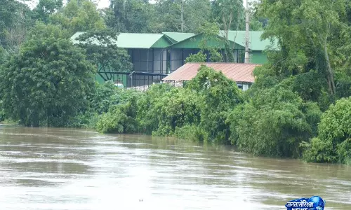 Assam राज्य में भीषण बाढ़ से मरने वालों की संख्या बढ़कर 98 हुई Assam राज्य में भीषण बाढ़ से मरने वालों की संख्या बढ़कर 98 हुई