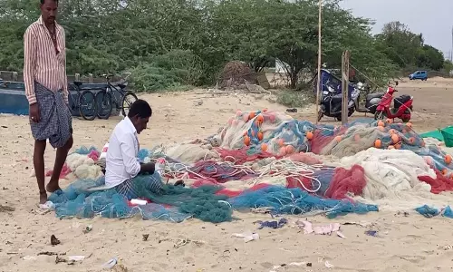 तूतीकोरिन पोर्ट पर मछलियों की जगह समुद्री शैवाल का अंबार, मछुआरों की बढ़ी परेशानी तूतीकोरिन पोर्ट पर मछलियों की जगह समुद्री शैवाल का अंबार, मछुआरों की बढ़ी परेशानी