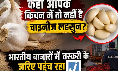 कहीं आपके किचन में तो नहीं है चाइनीज लहसुन? भारतीय बाजारों में तस्करी के जरिए पहुंच रहा कहीं आपके किचन में तो नहीं है चाइनीज लहसुन? भारतीय बाजारों में तस्करी के जरिए पहुंच रहा