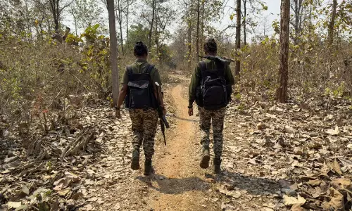 चाईबासा में 10 लाख के इनामी माओवादी ने किया सरेंडर