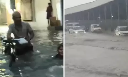दिल्ली-NCR में भारी बारिश से जनजीवन बेहाल, 9 घर गिरे 16 जगह पेड़ गिरने की घटनाएं दिल्ली-NCR में भारी बारिश से जनजीवन बेहाल, 9 घर गिरे 16 जगह पेड़ गिरने की घटनाएं