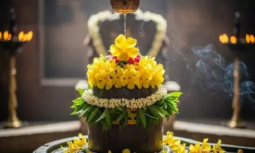 महादेव को चढ़ाएं कनेर का सही फूल जानें लाल और पीले कनेर का महत्व महादेव को चढ़ाएं कनेर का सही फूल जानें लाल और पीले कनेर का महत्व