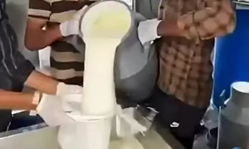 दूध असली है या मिलावटी डिटर्जेंट की मिलावट ऐसे करें चेक दूध असली है या मिलावटी डिटर्जेंट की मिलावट ऐसे करें चेक